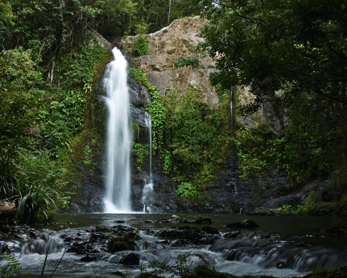 Cassowary Falls Gateway Дейнтри Екстериор снимка